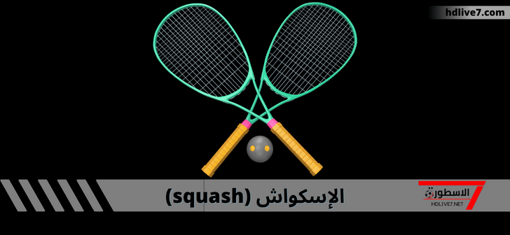 squash sport